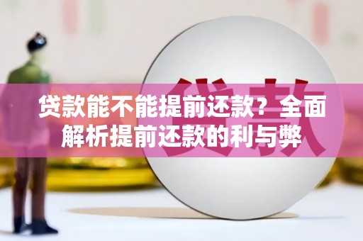 宁陵贷款能不能提前还款？全面解析提前还款的利与弊