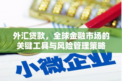 宁陵外汇贷款，全球金融市场的关键工具与风险管理策略