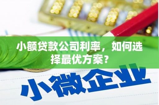 宁陵小额贷款公司利率，如何选择最优方案？