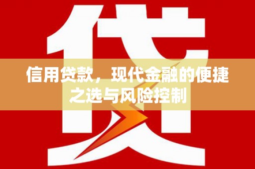 宁陵信用贷款，现代金融的便捷之选与风险控制