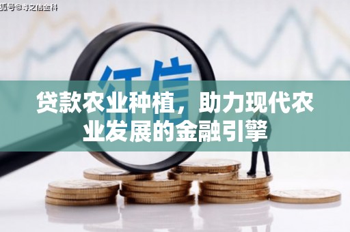 宁陵贷款农业种植，助力现代农业发展的金融引擎