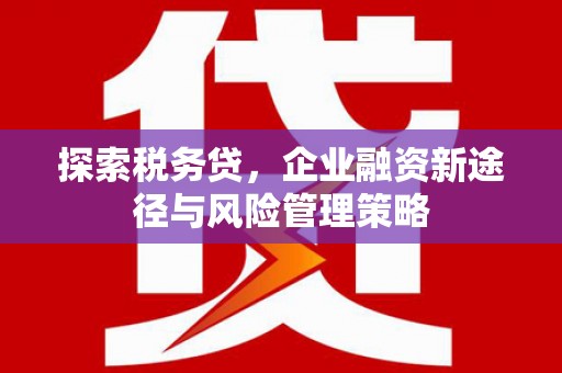 宁陵探索税务贷，企业融资新途径与风险管理策略