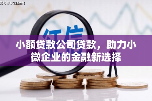 宁陵小额贷款公司贷款，助力小微企业的金融新选择