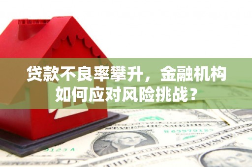 宁陵贷款不良率攀升，金融机构如何应对风险挑战？