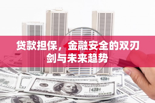 宁陵贷款担保，金融安全的双刃剑与未来趋势