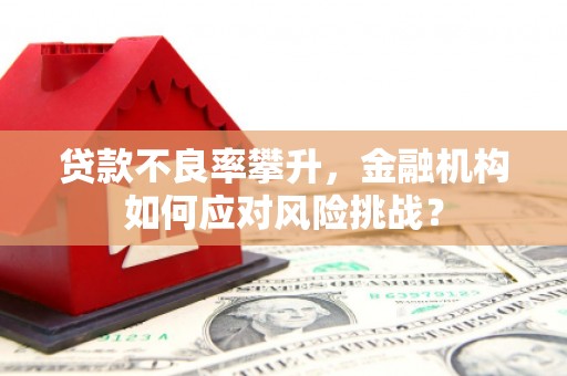 宁陵贷款不良率攀升，金融机构如何应对风险挑战？
