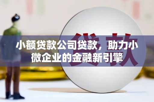 宁陵小额贷款公司贷款，助力小微企业的金融新引擎