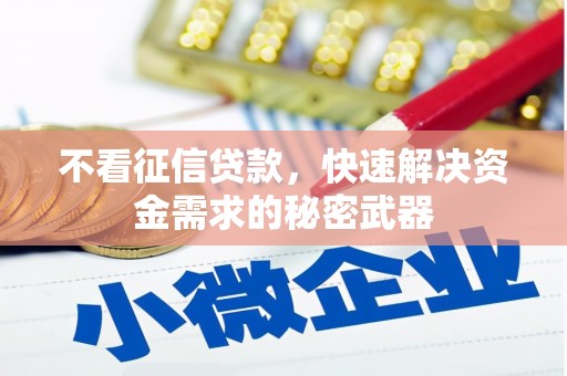 宁陵不看征信贷款，快速解决资金需求的秘密武器