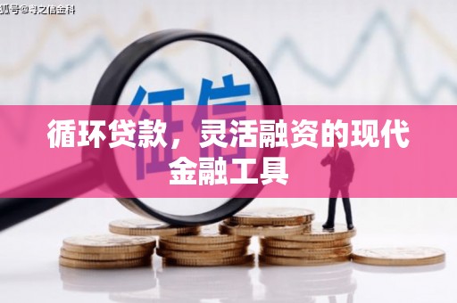宁陵循环贷款，灵活融资的现代金融工具