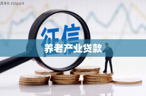 宁陵养老产业贷款