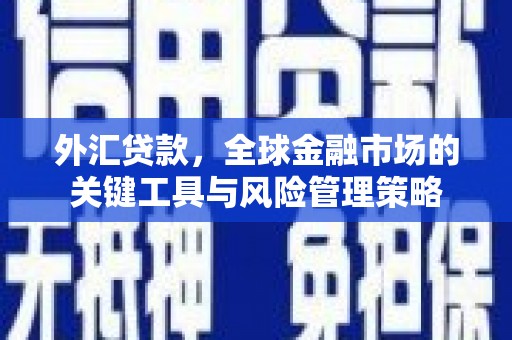 宁陵外汇贷款，全球金融市场的关键工具与风险管理策略