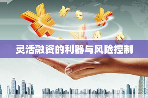 宁陵灵活融资的利器与风险控制