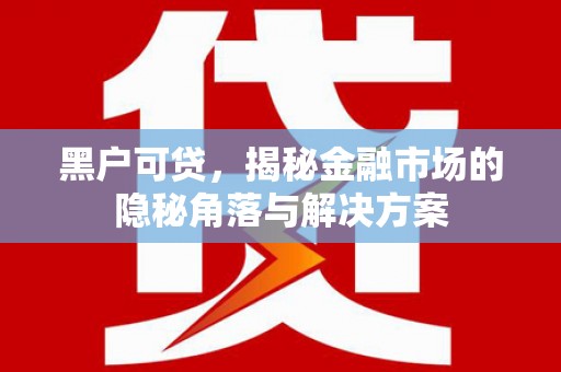 宁陵黑户可贷，揭秘金融市场的隐秘角落与解决方案