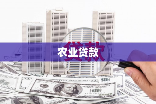 宁陵农业贷款
