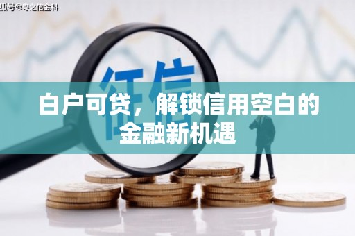 宁陵白户可贷，解锁信用空白的金融新机遇