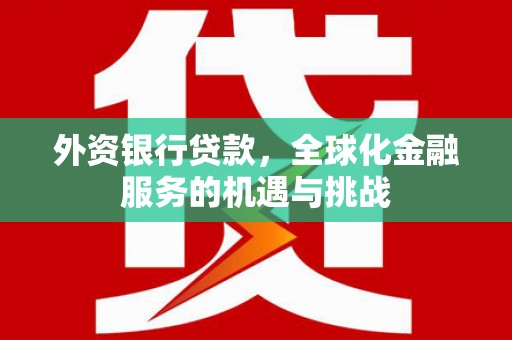 宁陵外资银行贷款，全球化金融服务的机遇与挑战