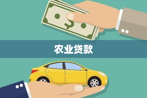 宁陵农业贷款