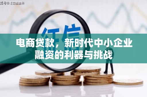 宁陵电商贷款，新时代中小企业融资的利器与挑战