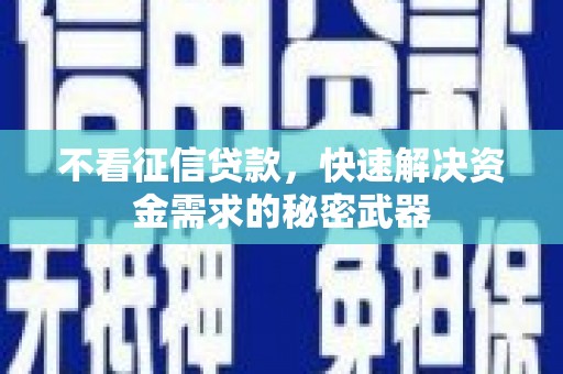 宁陵不看征信贷款，快速解决资金需求的秘密武器