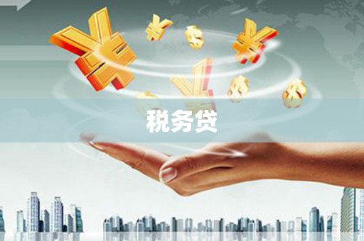 宁陵税务贷