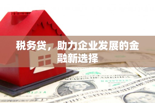 宁陵税务贷，助力企业发展的金融新选择
