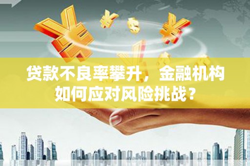 宁陵贷款不良率攀升，金融机构如何应对风险挑战？