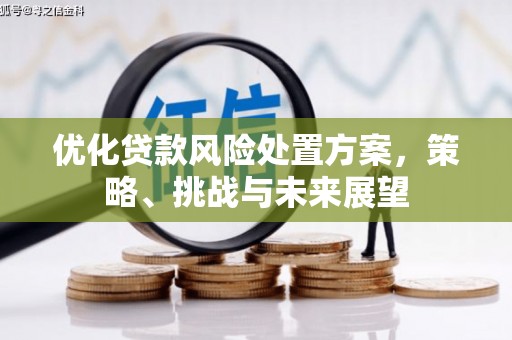 宁陵优化贷款风险处置方案，策略、挑战与未来展望
