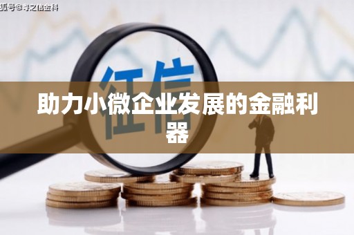 宁陵助力小微企业发展的金融利器