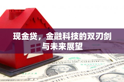 宁陵现金贷，金融科技的双刃剑与未来展望