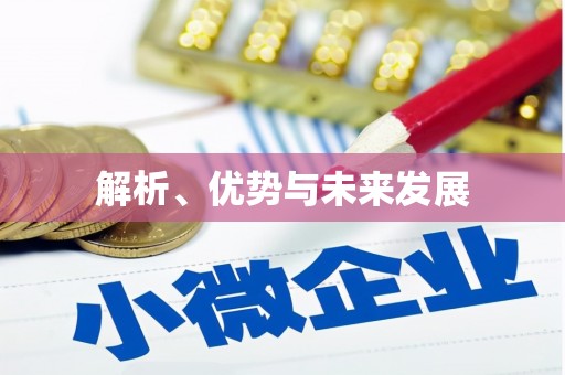 宁陵解析、优势与未来发展