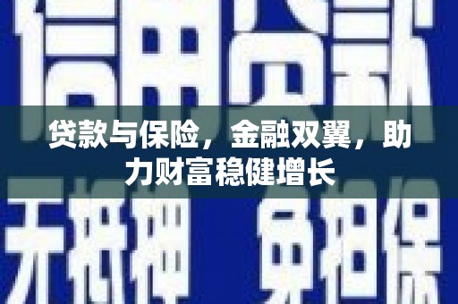 宁陵贷款与保险，金融双翼，助力财富稳健增长