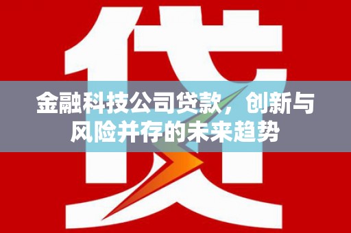 宁陵金融科技公司贷款，创新与风险并存的未来趋势