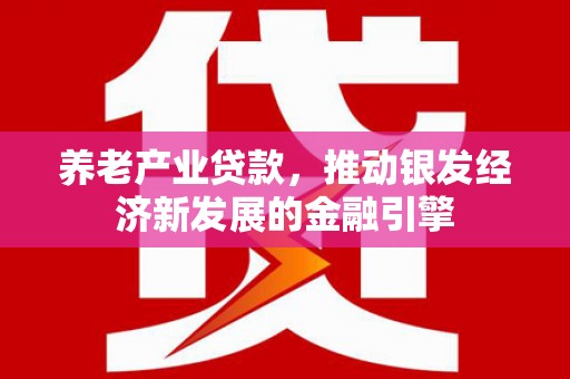 宁陵养老产业贷款，推动银发经济新发展的金融引擎