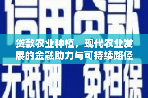 宁陵贷款农业种植，现代农业发展的金融助力与可持续路径