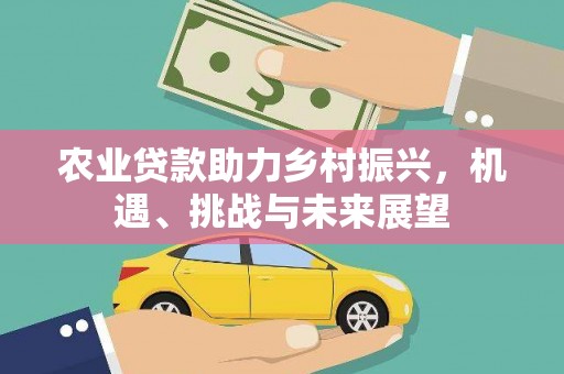 宁陵农业贷款助力乡村振兴，机遇、挑战与未来展望