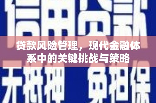 宁陵贷款风险管理，现代金融体系中的关键挑战与策略