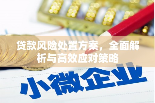 宁陵贷款风险处置方案，全面解析与高效应对策略