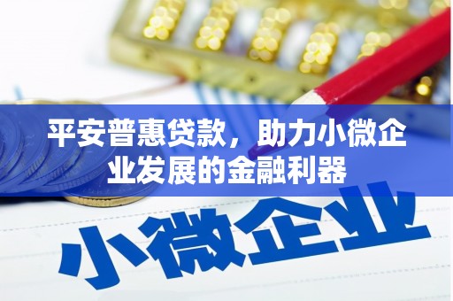 宁陵平安普惠贷款，助力小微企业发展的金融利器