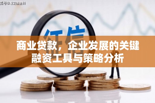 宁陵商业贷款，企业发展的关键融资工具与策略分析