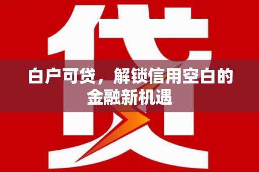 宁陵白户可贷，解锁信用空白的金融新机遇