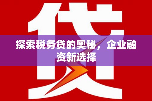 宁陵探索税务贷的奥秘，企业融资新选择