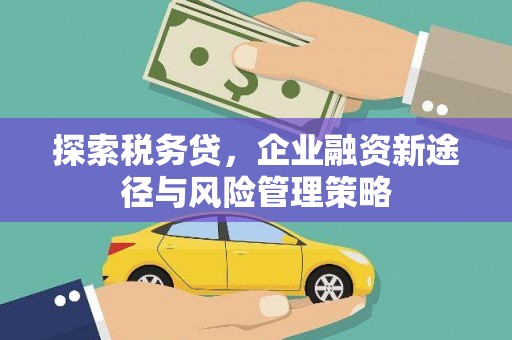 宁陵探索税务贷，企业融资新途径与风险管理策略