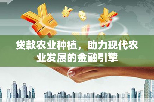 宁陵贷款农业种植，助力现代农业发展的金融引擎