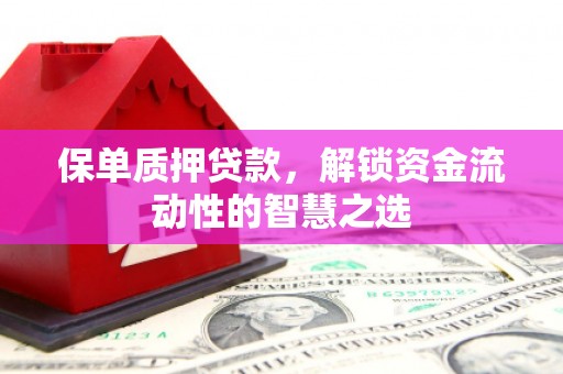 宁陵保单质押贷款，解锁资金流动性的智慧之选