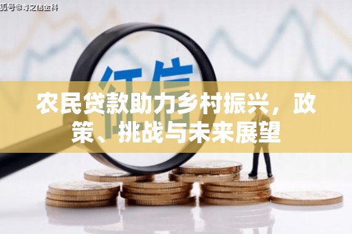 宁陵农民贷款助力乡村振兴，政策、挑战与未来展望