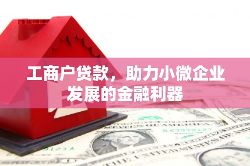 宁陵工商户贷款，助力小微企业发展的金融利器