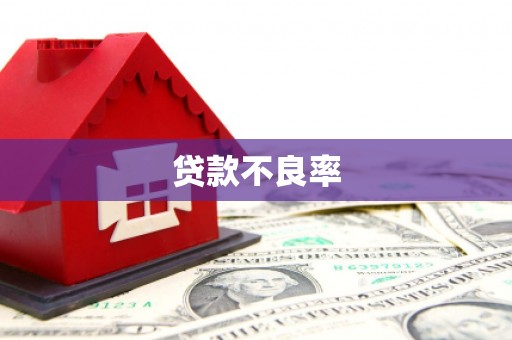 宁陵贷款不良率