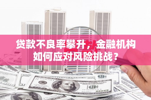 宁陵贷款不良率攀升，金融机构如何应对风险挑战？