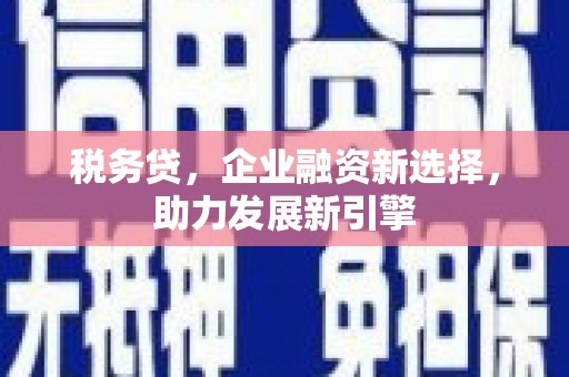 宁陵税务贷，企业融资新选择，助力发展新引擎
