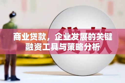 宁陵商业贷款，企业发展的关键融资工具与策略分析